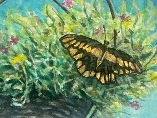 Original painting of butterfly on hanging potted plants artwork