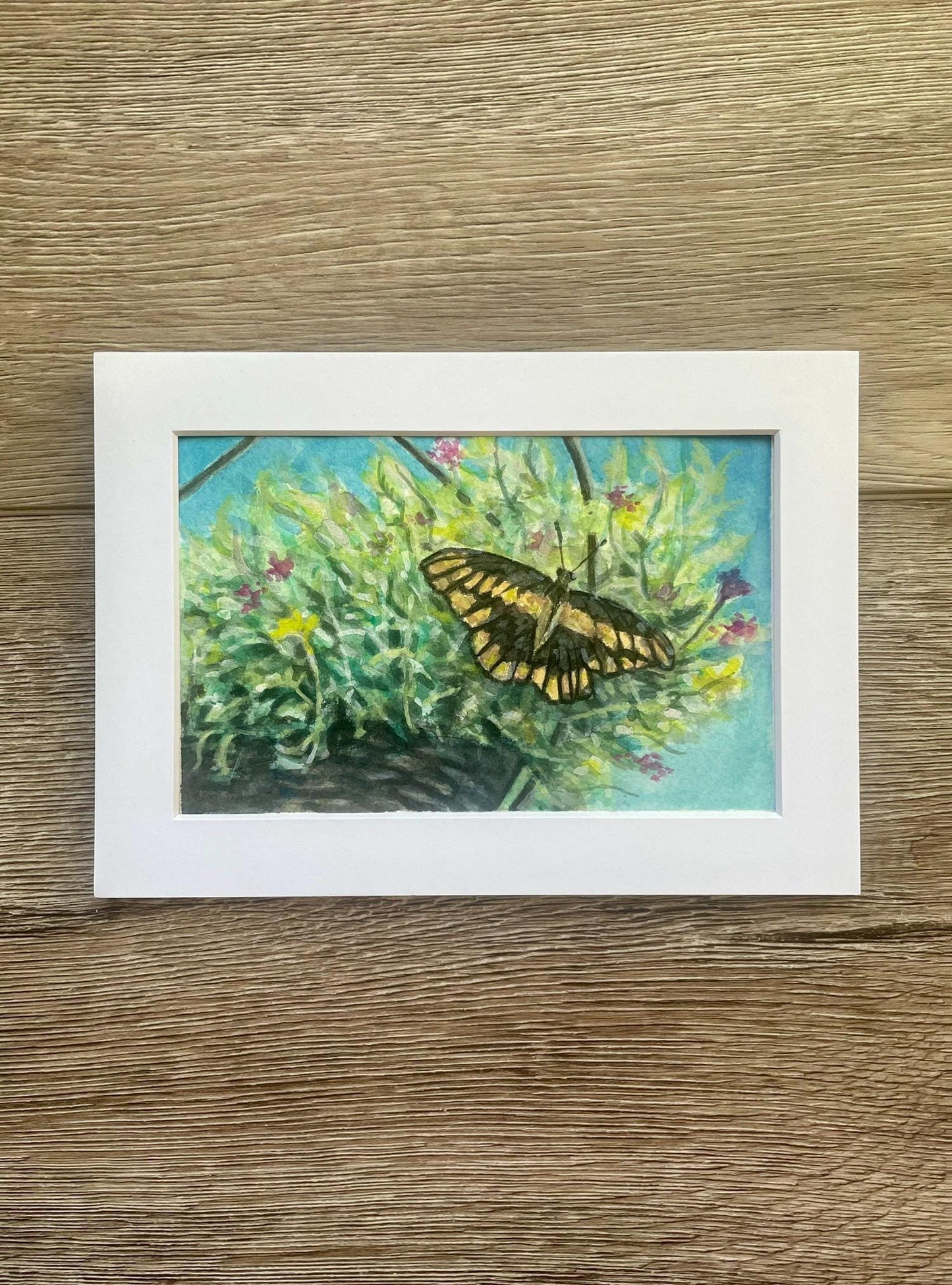 Original painting of butterfly on hanging potted plants artwork