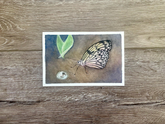 Original butterfly painting artwork With leaf and dewdrop