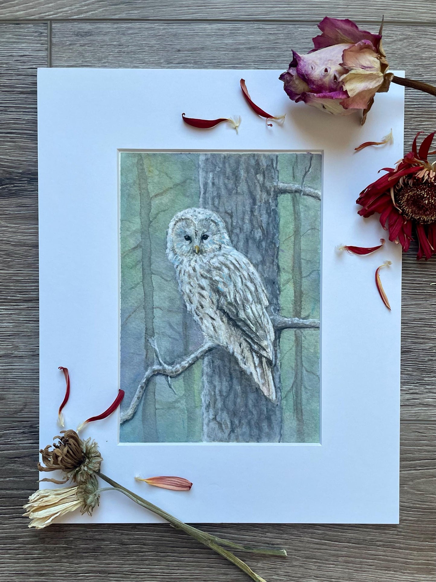 Original watercolor gouache painting of owl on a tree branch