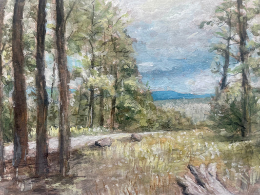 Original Watercolor Gouache Painting of A Scenic Landscape In New Mexico