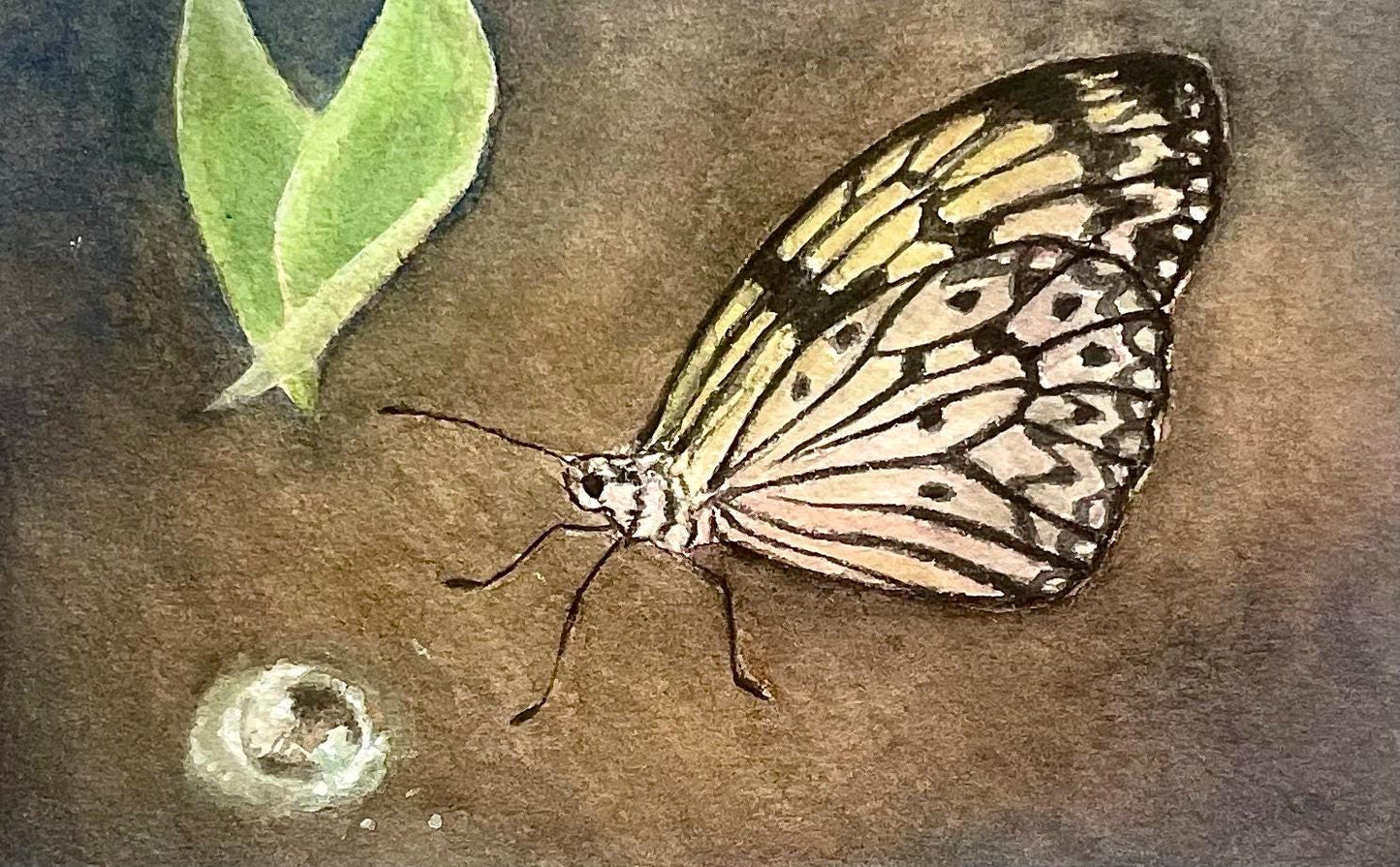 Original butterfly painting artwork With leaf and dewdrop