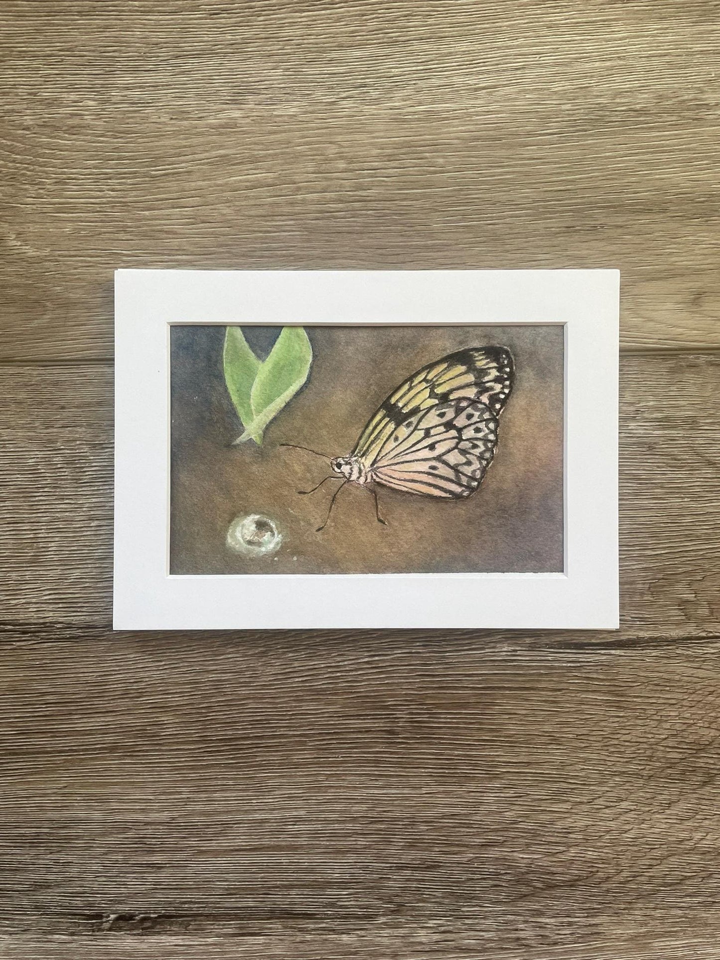Original butterfly painting artwork With leaf and dewdrop