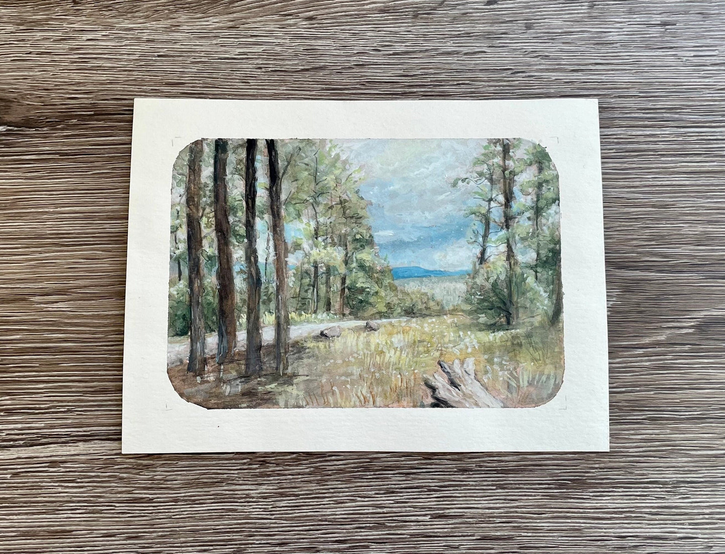 Original Watercolor Gouache Painting of A Scenic Landscape In New Mexico