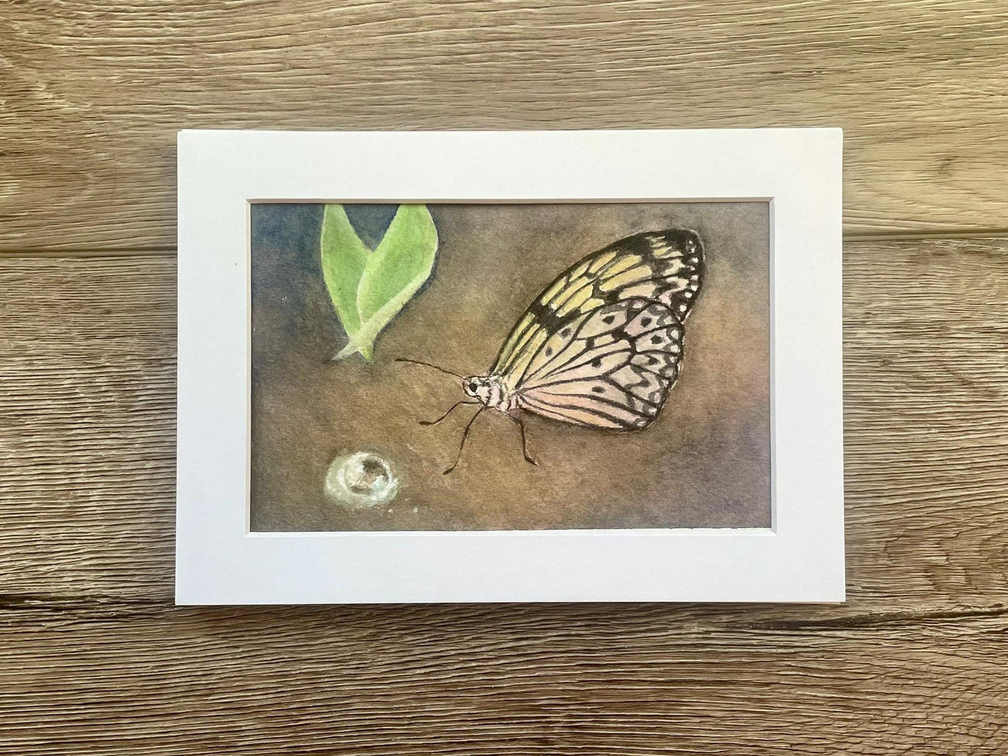 Original butterfly painting artwork With leaf and dewdrop