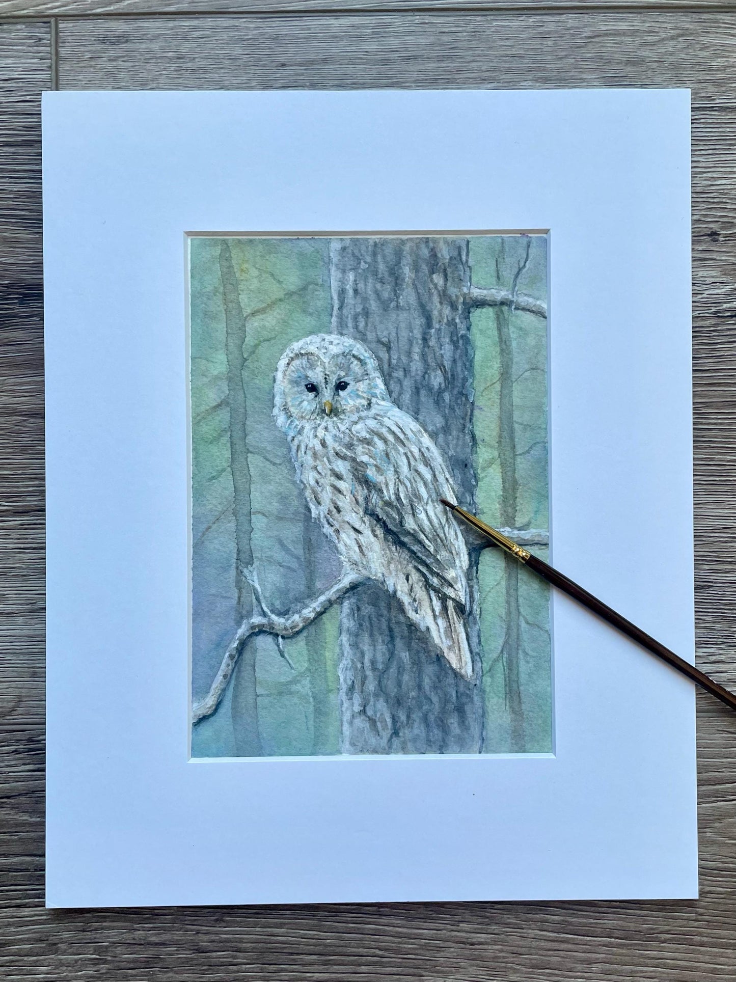 Original watercolor gouache painting of owl on a tree branch