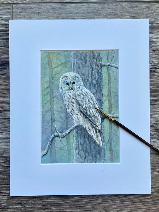 Original watercolor gouache painting of owl on a tree branch