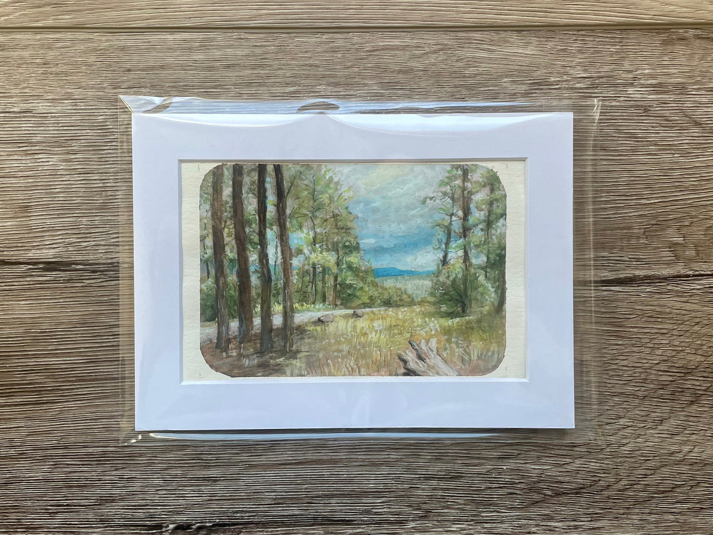 Original Watercolor Gouache Painting of A Scenic Landscape In New Mexico