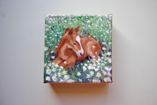 Handmade oil painting of baby horse laying in grass foal art hand painted small horse artwork