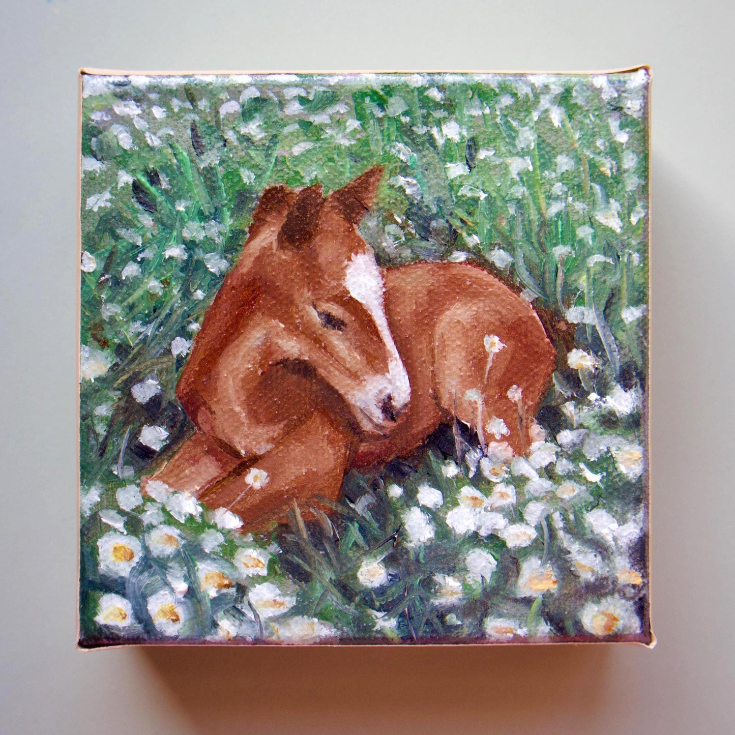 Handmade oil painting of baby horse laying in grass foal art hand painted small horse artwork