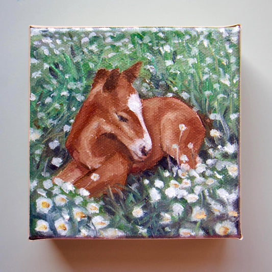 Handmade oil painting of baby horse laying in grass foal art hand painted small horse artwork
