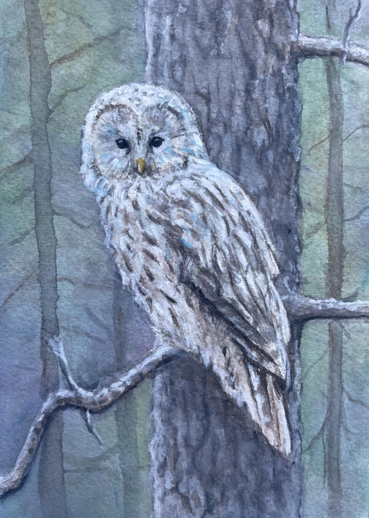Original watercolor gouache painting of owl on a tree branch