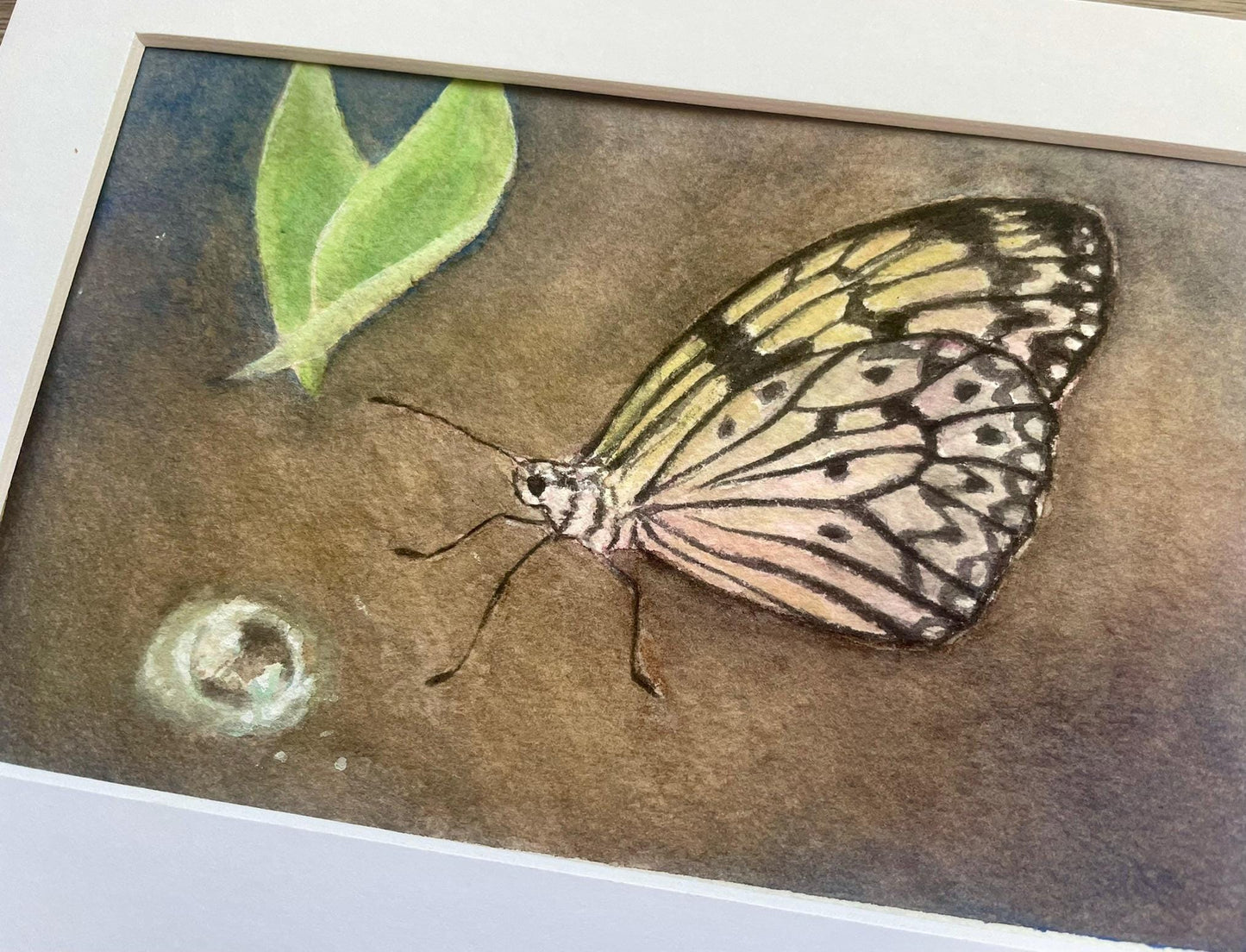 Original butterfly painting artwork With leaf and dewdrop