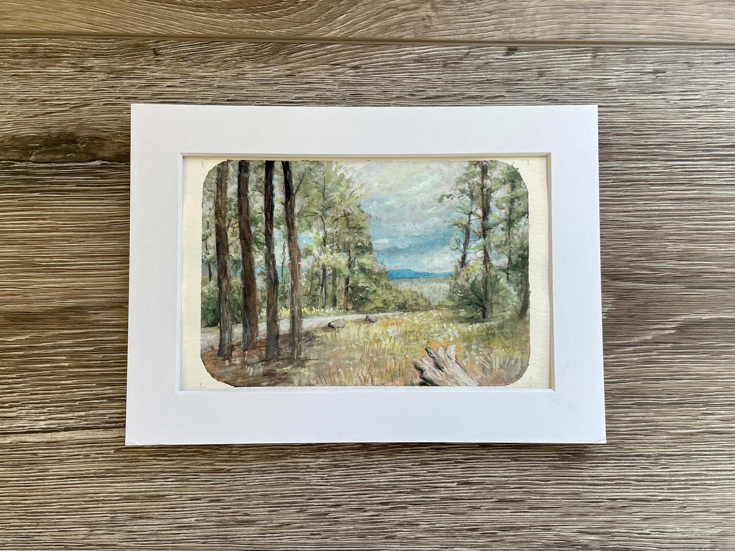 Original Watercolor Gouache Painting of A Scenic Landscape In New Mexico